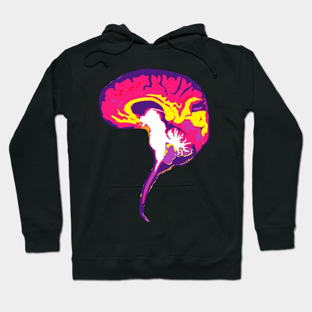 Brain with Brainstem in Vibrant Colors Hoodie by VegShop